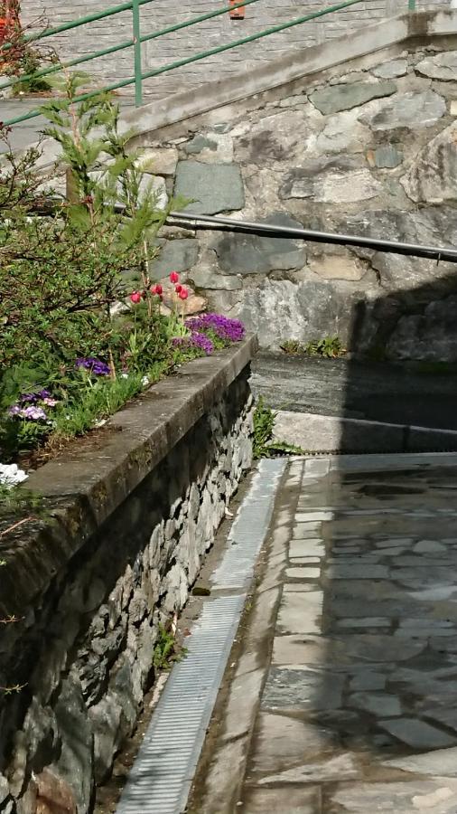 B&B Maison Odille Valtournenche Exteriör bild